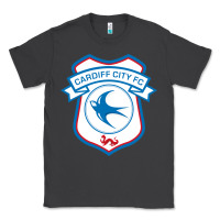 Smoke cardiff-city-fc Classic Tee - linhVisuals