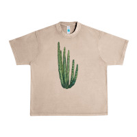 French Oak organ pipe cactus Urban Heavy Tee - LillyAllenDesigns