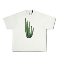 Pistachio organ pipe cactus Urban Heavy Tee - LillyAllenDesigns