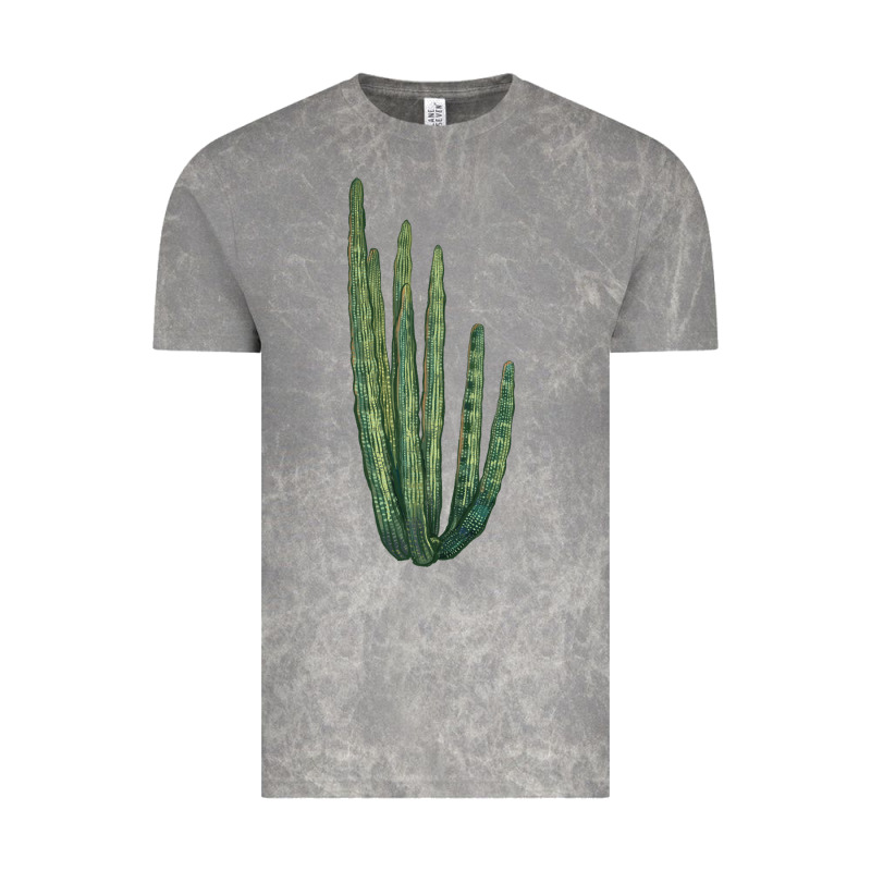 Organ Pipe Cactus Vintage Tee by LillyAllenDesigns | Teevron
