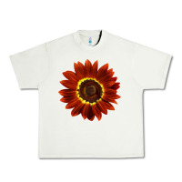 Pistachio Rouge Royale Sunflower Urban Heavy Tee - LillyAllenDesigns