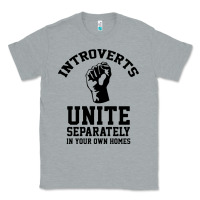 Heather Grey introverts unite Classic Tee - linhVisuals