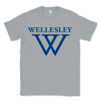 Heather Grey Wellesley College Classic Tee - linhVisuals
