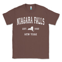 Chestnut niagara falls new york ny vintage athletic sports design t shirt Classic Tee - linhVisuals