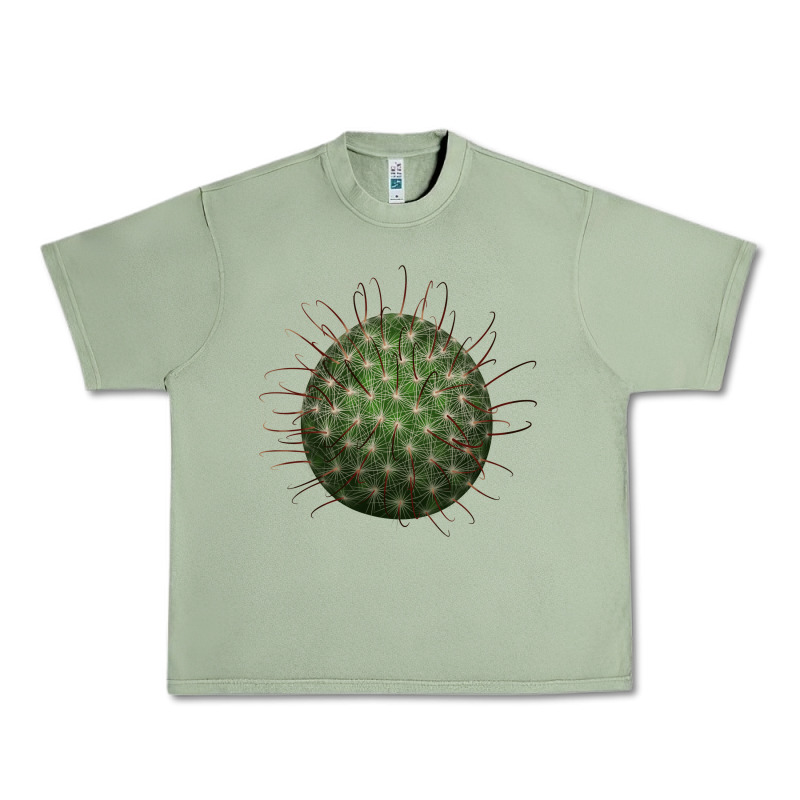 Arizona Fishhook Cactus Urban Heavy Tee by LillyAllenDesigns | Teevron