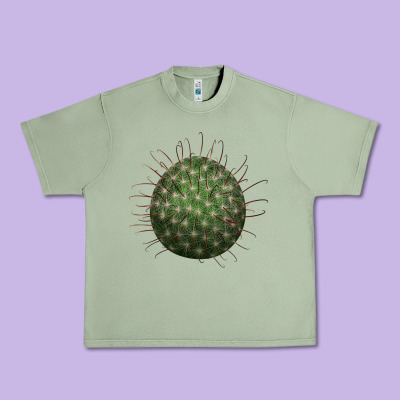 Arizona Fishhook Cactus Urban Heavy Tee Designed By Lillyallendesigns