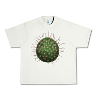 Pistachio arizona fishhook cactus Urban Heavy Tee - LillyAllenDesigns