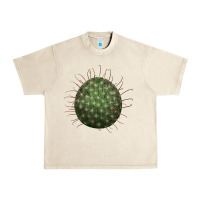 Sandshell arizona fishhook cactus Urban Heavy Tee - LillyAllenDesigns