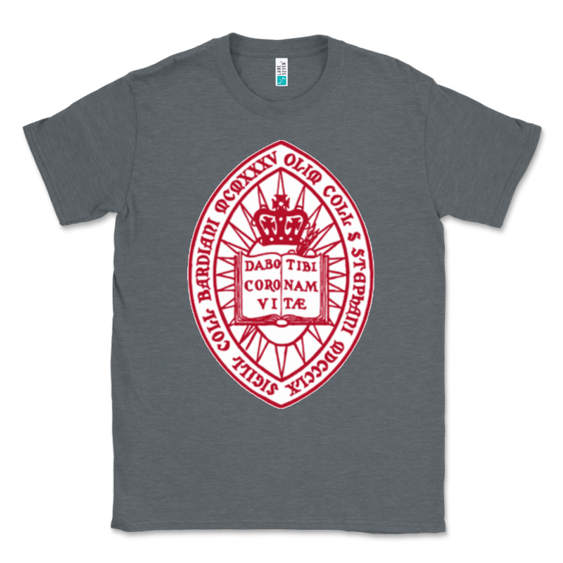 Bard College Classic Tee by linhVisuals | Teevron