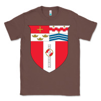 Chestnut Rensselaer Polytechnic Institute Classic Tee - linhVisuals