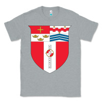 Heather Grey Rensselaer Polytechnic Institute Classic Tee - linhVisuals
