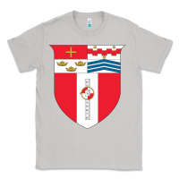 Moon Dust Rensselaer Polytechnic Institute Classic Tee - linhVisuals