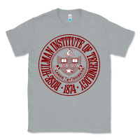 Heather Grey Rose-Hulman Institute of Technology Classic Tee - linhVisuals