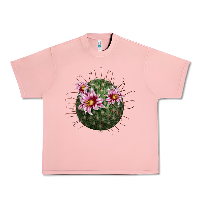 Arizona Fishhook Cactus Urban Heavy Tee by LillyAllenDesigns | Teevron