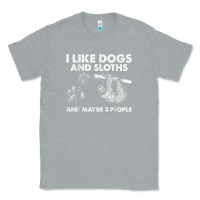 Heather Grey i like dogs and sloths and maybe 3 people funny animals Classic Tee - linhVisuals