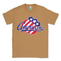 The-rochester-americans-pen Classic Tee | Teevron