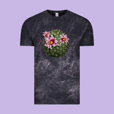 Arizona Fishhook Cactus Vintage Tee Designed By Lillyallendesigns