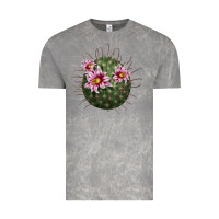 Cloud Rock arizona fishhook cactus Vintage Tee - LillyAllenDesigns