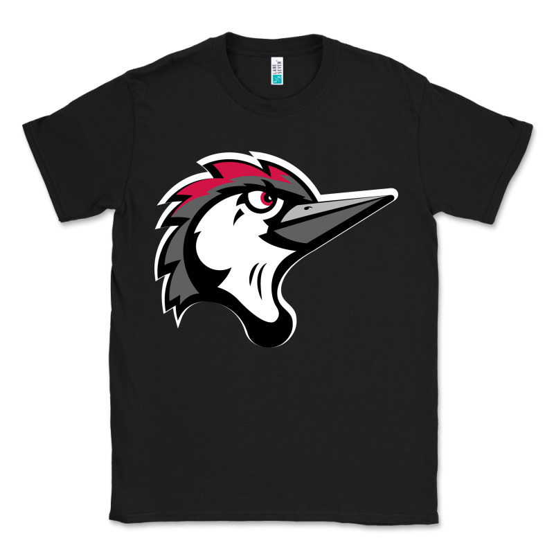 Fayetteville Woodpeckers Classic Tee by linhVisuals | Teevron