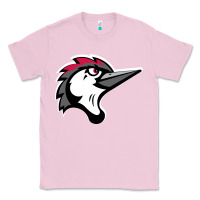 Bubblegum Pink fayetteville woodpeckers Classic Tee - linhVisuals
