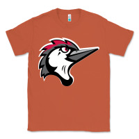 Copper fayetteville woodpeckers Classic Tee - linhVisuals