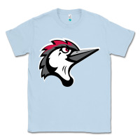 Dusty Blue fayetteville woodpeckers Classic Tee - linhVisuals