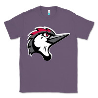 Lavender fayetteville woodpeckers Classic Tee - linhVisuals