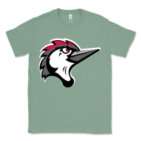 Sage fayetteville woodpeckers Classic Tee - linhVisuals