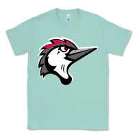 Seafoam fayetteville woodpeckers Classic Tee - linhVisuals