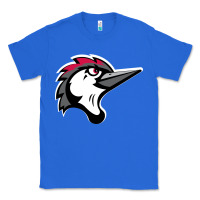 True Royal fayetteville woodpeckers Classic Tee - linhVisuals