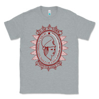 Heather Grey Union College Classic Tee - linhVisuals