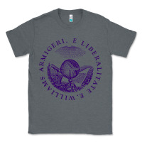 Charcoal Heather Williams College Classic Tee - linhVisuals