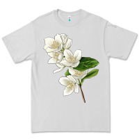 Dove Grey Mock Oranges Illustrations Premium Tee - LillyAllenDesigns