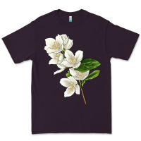 Plum Mock Oranges Illustrations Premium Tee - LillyAllenDesigns