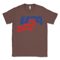 Chestnut usa hockey simple Classic Tee - linhVisuals