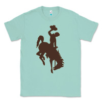 Seafoam wyoming athletics Classic Tee - linhVisuals
