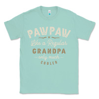 Seafoam Mens Pawpaw Like a Regular Grandpa Funny Fathers Day Classic Tee - linhVisuals