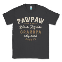 Smoke Mens Pawpaw Like a Regular Grandpa Funny Fathers Day Classic Tee - linhVisuals