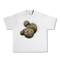 Lunar Rock arizona fishhook cacti Urban Heavy Tee - LillyAllenDesigns