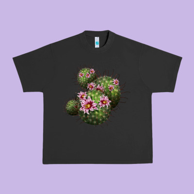 Arizona Fishhook Cacti Urban Heavy Tee Designed By Lillyallendesigns