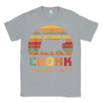 Heather Grey chonk cat scale meme retro oh lawd he comin' memes t shirt Classic Tee - linhVisuals
