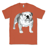 Copper English Bulldog Art Classic Tee - linhVisuals