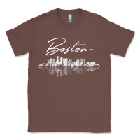 Chestnut boston skyline t shirt for women, men, girls & boys Classic Tee - linhVisuals