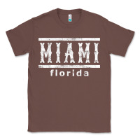 Chestnut miami florida souvenir t shirt Classic Tee - linhVisuals