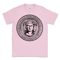 City College Of New York Seal Classic Tee | Teevron