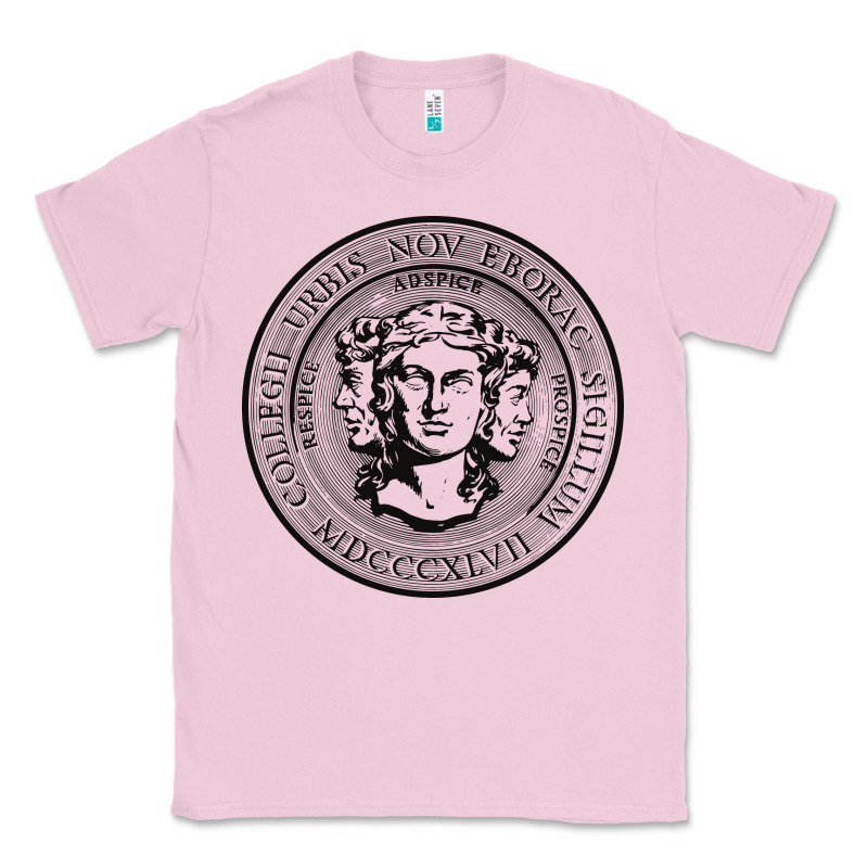 City College Of New York Seal Classic Tee by linhVisuals | Teevron