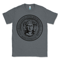 Charcoal Heather city college of new york seal Classic Tee - linhVisuals