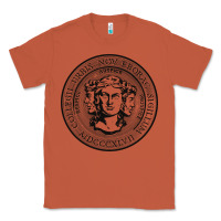 Copper city college of new york seal Classic Tee - linhVisuals