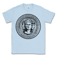 Dusty Blue city college of new york seal Classic Tee - linhVisuals
