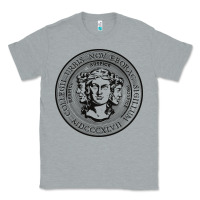 Heather Grey city college of new york seal Classic Tee - linhVisuals